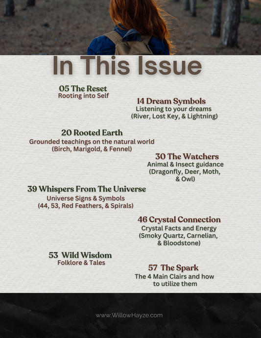 Hearth & Tide: "The Reconnection" Issue 02