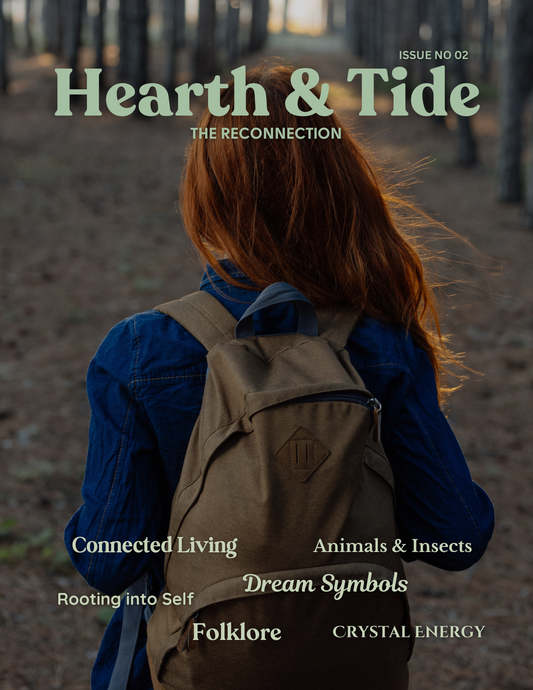 Hearth & Tide: "The Reconnection" Issue 02